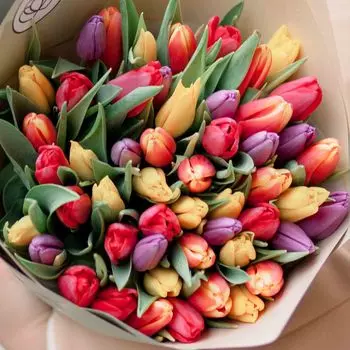 51 тюльпан микс