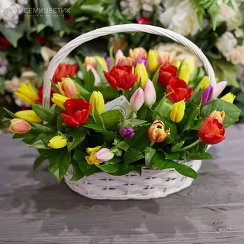 51 тюльпан микс с зеленью в корзине