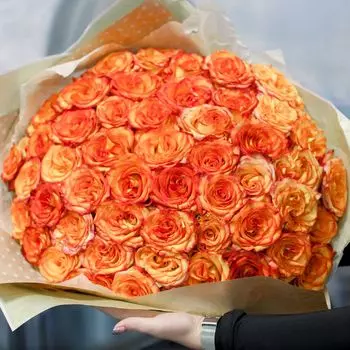 51 желтая с красной каймой роза High Magic 50 см