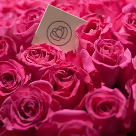 55 розовых роз Topaz 50 см