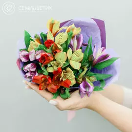 5 альстромерий микс