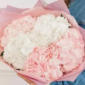 5 белых и розовых гортензий микс