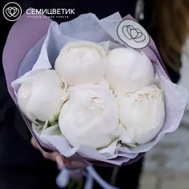 5 белых пионов Premium