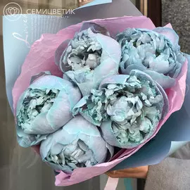 5 голубых пионов Premium
