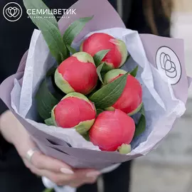 5 коралловых пионов Premium