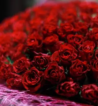 5 маленьких красных роз 40 см Premium