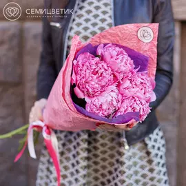 5 ярко-розовых пионов Premium