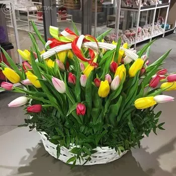 71 тюльпан в корзине