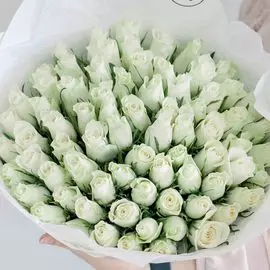 75 белых роз (Кенийская) 40 см Standart