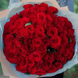 75 красных с темной каймой роз (Российская) 30 см