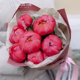 7 коралловых пионов Premium