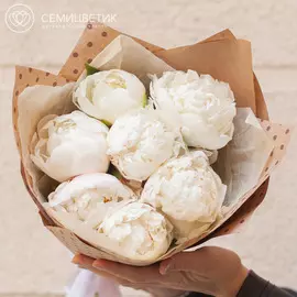 7 кремовых пионов Standart