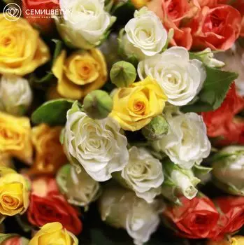7 кустовых разноцветных роз 40 см