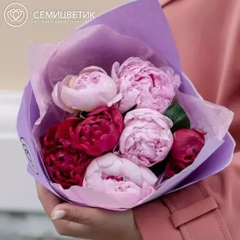 7 пионов микс Standart