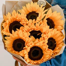 7 подсолнухов