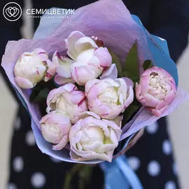 7 розовых пионов Standart