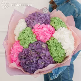 9 гортензий