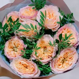 9 персиковых пионовидных роз Flash Back c фисташкой