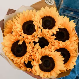 9 подсолнухов