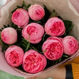 9 ярко-розовых одноголовых пионовидных роз Pink Piano 40 см с фисташкой