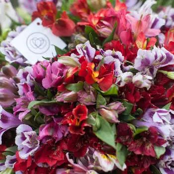 Альстромерии микс 70 см