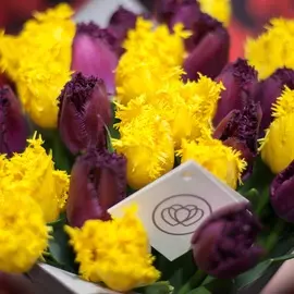 Бахромчатые тюльпаны