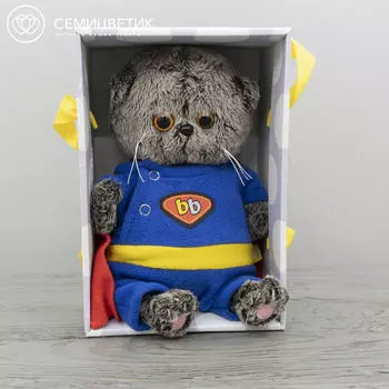 Басик BABY в костюме супермена