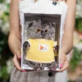 Басик Baby в толстовке 18 см