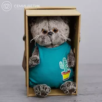 Басик в изумрудном комбинезоне с кактусом