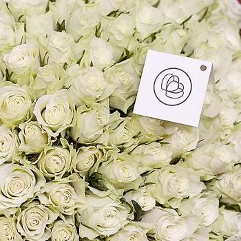 Белые розы 40 см Standart