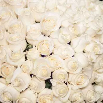 Белые розы Vendela 50 см