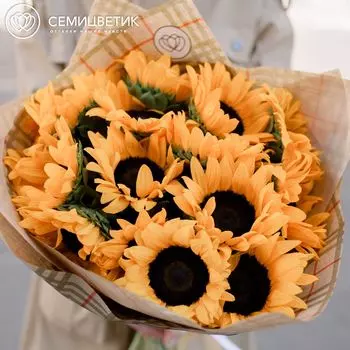 Букет из 15 подсолнухов