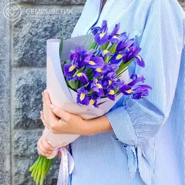 Букет из 15 синих ирисов в дизайнерской пленке