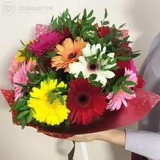 Букет из 19 гербер микс с зеленью