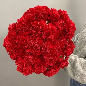 Букет из 25 красных гвоздик