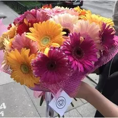 Букет из 31 герберы микс