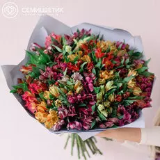 Букет из 51 альстромерии микс в дизайнерской пленке
