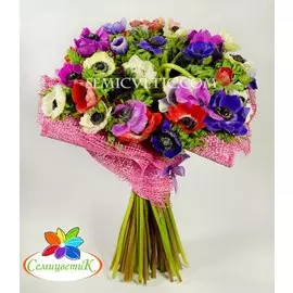 Букет из 51 анемона