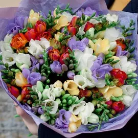 Букет из 51 цветной фрезии