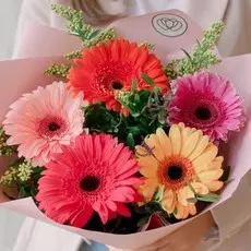 Букет из гербер микс с зеленью в упаковке