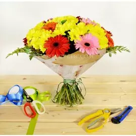 Букет из гербер с хризантемой кустовой