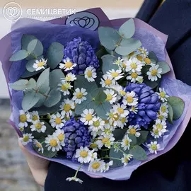 Букет из гиацинтов и матрикарии