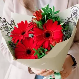 Букет из красных гербер и альстромерий с зеленью в упаковке