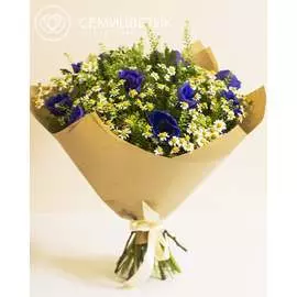 Букет с анемонами и матрикарией