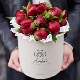 Букет в белой шляпной коробке Amour Mini из 15 бордовых пионов Premium