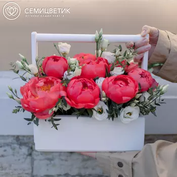 Деревянный ящик с 11 коралловыми пионами Premium и лизиантусами