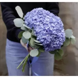 Гортензии и эвкалипт