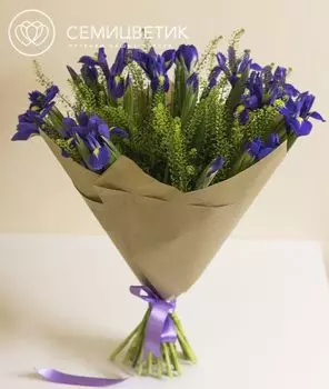 Ирисы, гринбелл