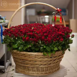 Композиция из 501 красной розы Standart 40 см в корзине