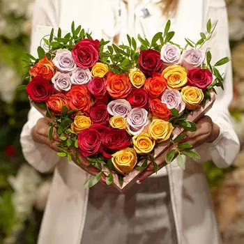 Композиция сердце из 31 кенийской розы микс и фисташки